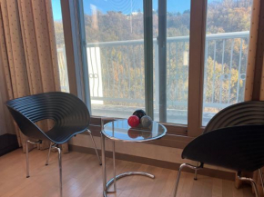 Bukhan Mountain Penthouse